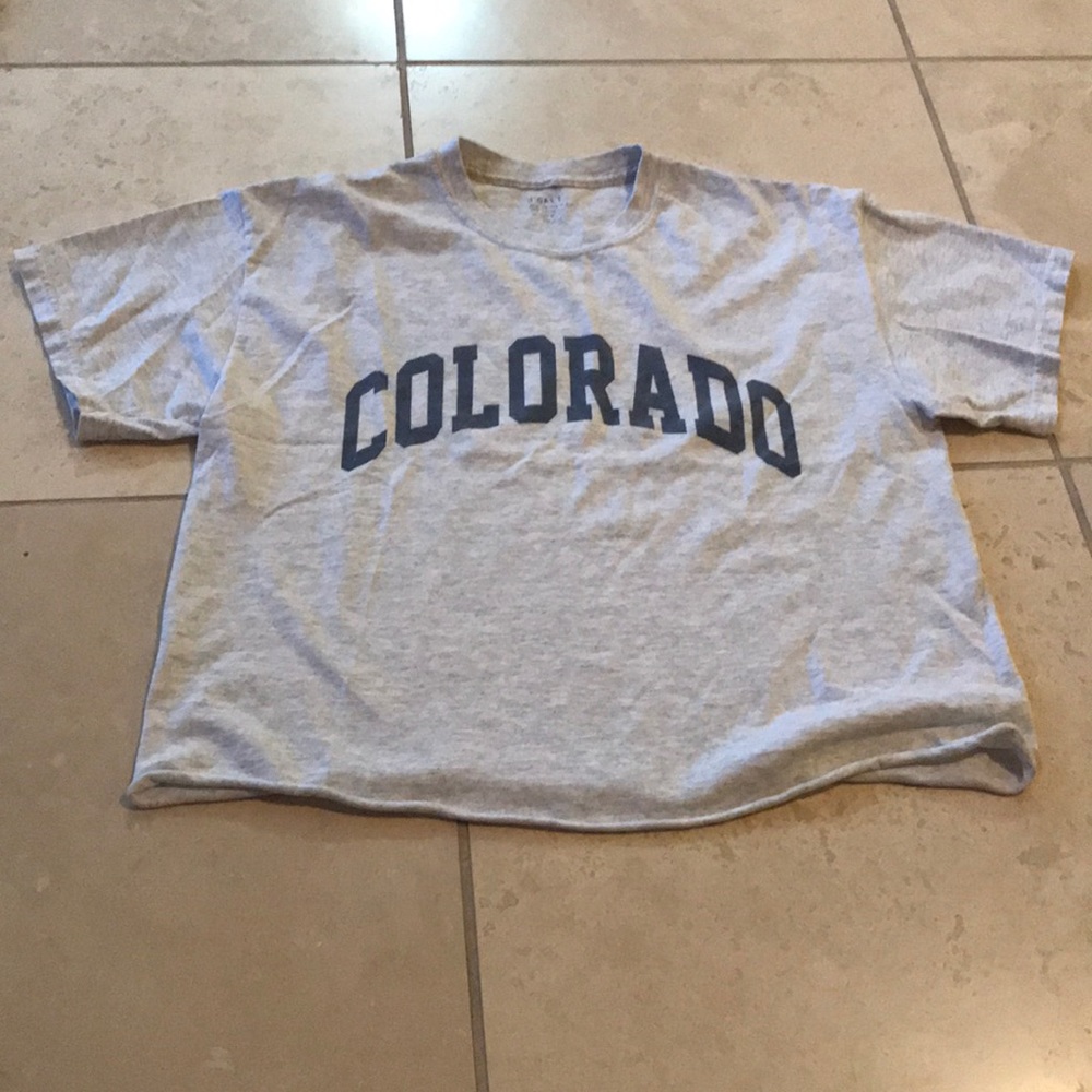 Brandy Melville Colorado Tee Cropped